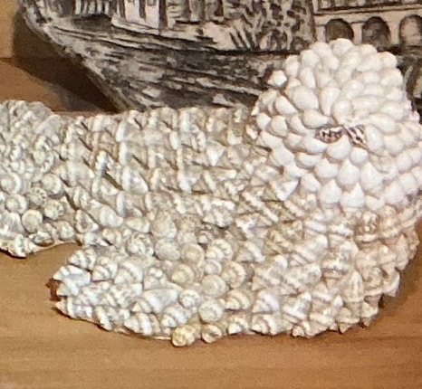 Seashell Decorative Sculpture