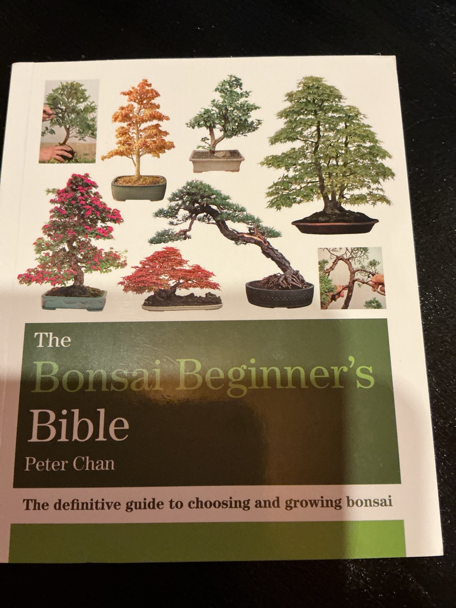 The Bonsai Beginner S Bible (Paperback)